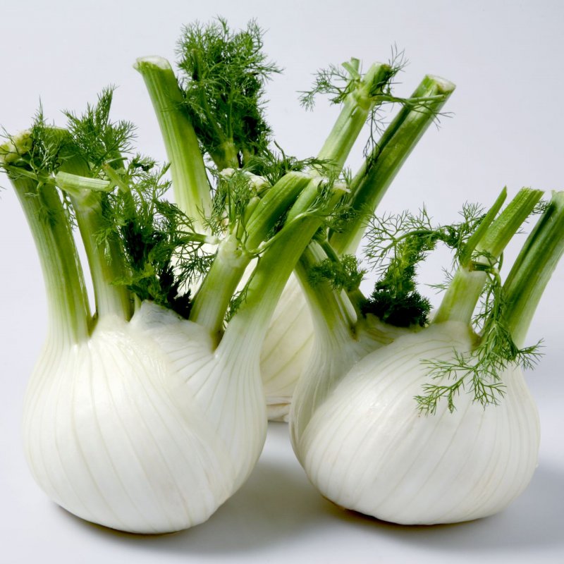 Finocchio