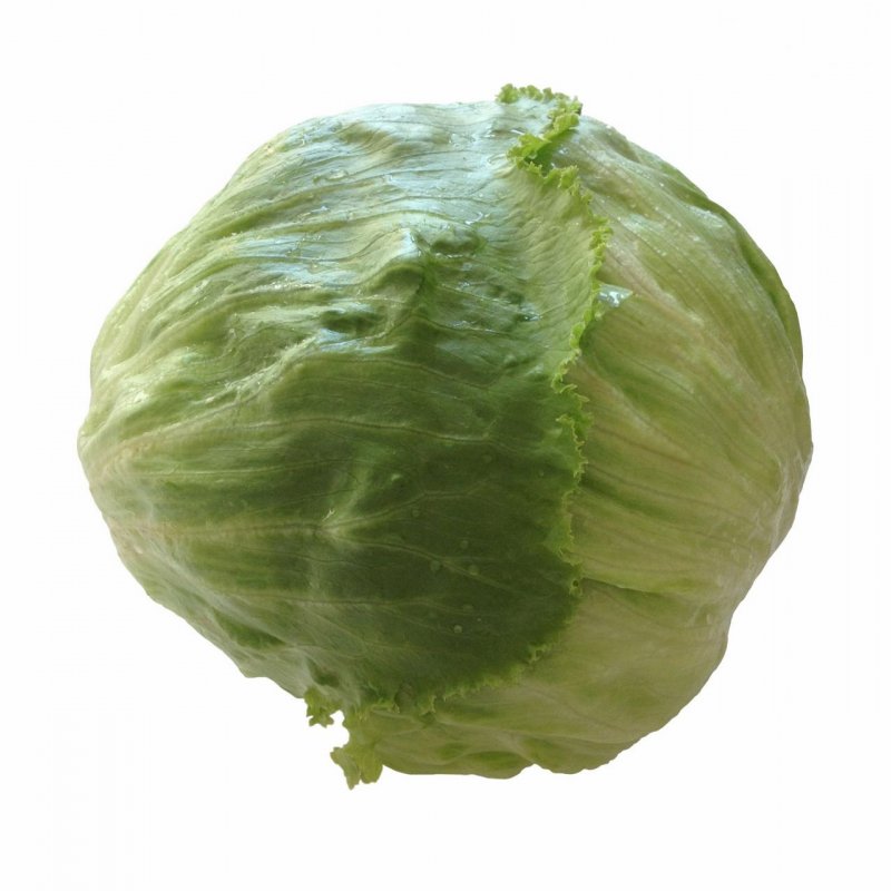 Lattuga Iceberg