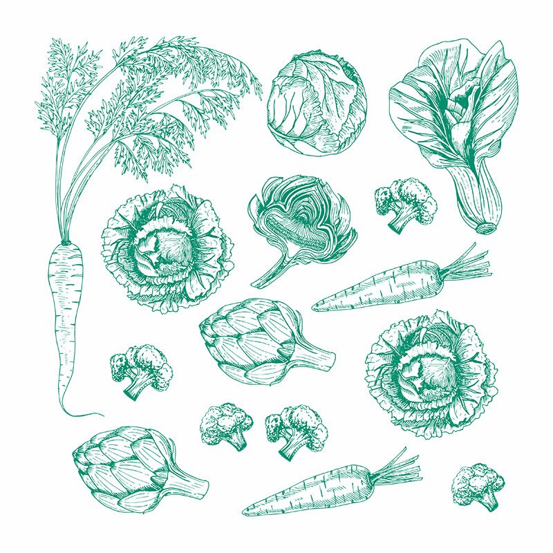 Rucola