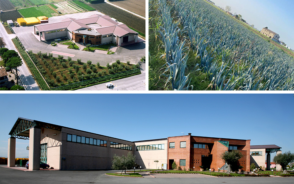 Azienda Azienda