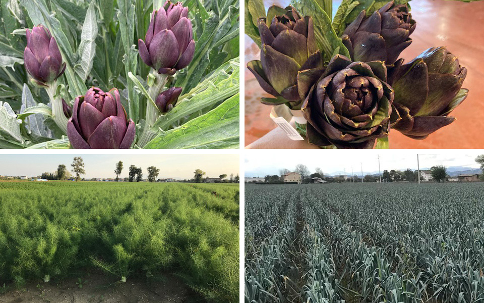 Azienda Azienda